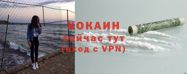 таблы Богданович