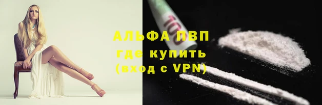 амф Богородицк