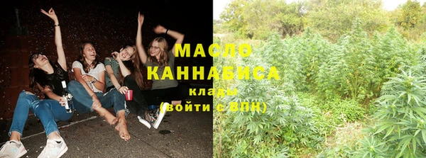 Альфа ПВП Богородск