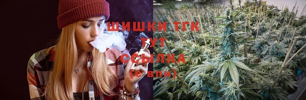 амф Богородицк