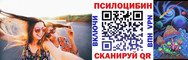 Псилоцибиновые грибы GOLDEN TEACHER  Купить  Ростов-на-Дону 